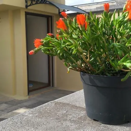 Appartamento Ibiscus * San Marzano di San Giuseppe